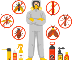 Commentaar concept Regionale Standaard DCRS 39 “Pesticides – Labelling- Requirements”