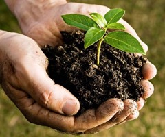Evaluatie New Work Item Proposal (NWIP) voor de ontwikkeling van een regionale standaard voor Compost