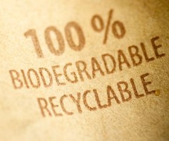 Stemmen op finaal concept Regionale Standaard “Biodegradable Products – Specification”