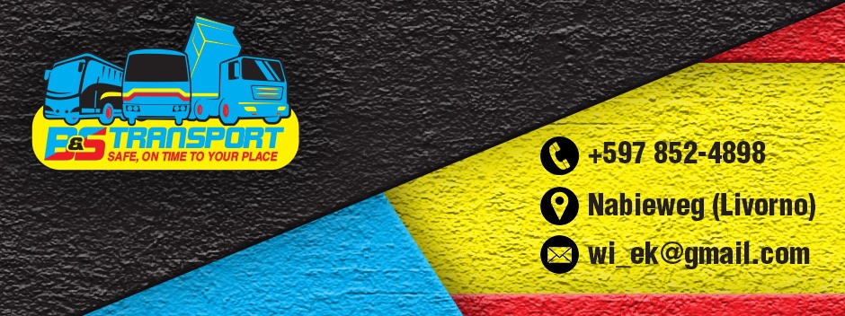 B.N.S. Contractors N.V.